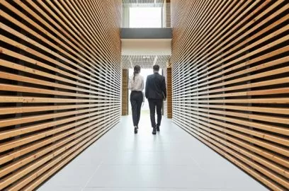 Management of intellectual property. Corporate services.