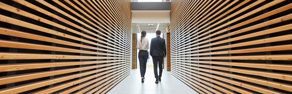 Management of intellectual property. Corporate services.