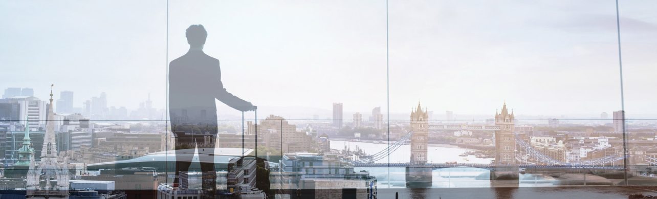 Виза единственного представителя